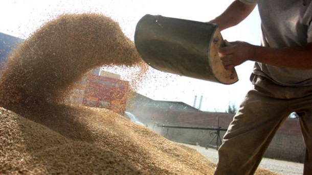US-feed-mill-faces-fine-for-safety-violations_strict_xxl
