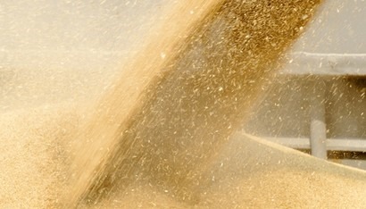 grain-explosion